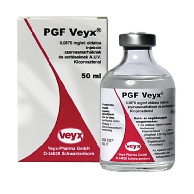 PGF VEYX (koca)