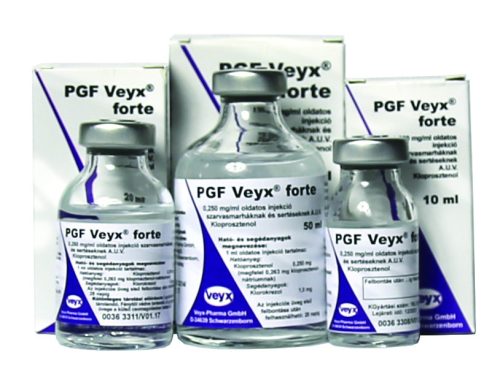 PGF VEYX FORTE (kloprosztenol)